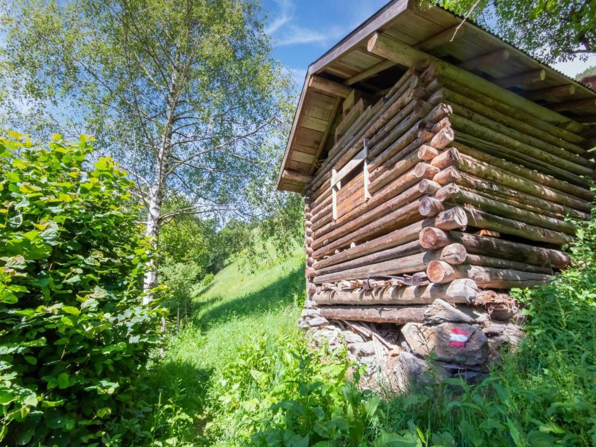 Cosy Holiday Home At The Wildkogel Bramberg am Wildkogel Extérieur photo